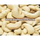 Raw Cashew Nuts,Processed Cashew Nuts.